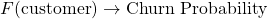  $$F(\text{customer}) \rightarrow \text{Churn Probability}$$ 